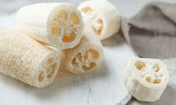 What is Pumpkin Fiber?